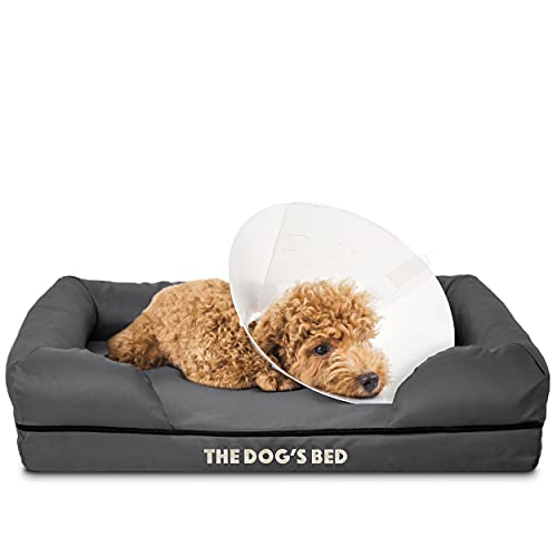 The Dog's Bed, Orthopädisches Memory-Schaum, wasserdicht, klein, grau mit schwarzem Rand, lindert Arthritis & Hüftdysplasie-Schmerzen, therapeutisches & stützendes Hundebett, waschbare Bezüge von The Dog's Balls