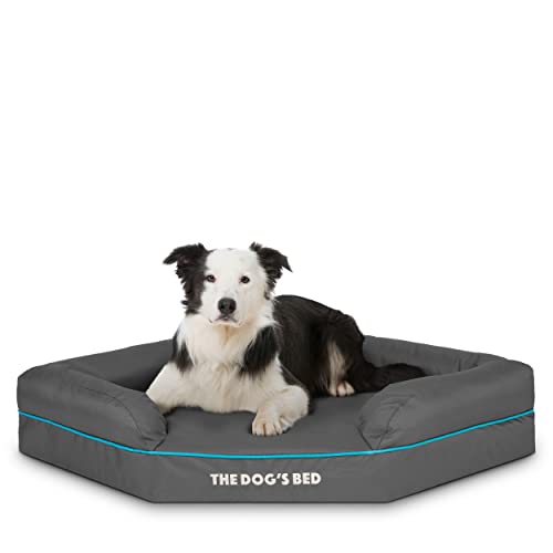The Dog's Bed Orthopädisches Eck-Hundebett, Memory-Schaum, wasserdicht, groß, grau und blau, lindert Arthritis und Hüftdysplasie, therapeutisch und stützend, waschbarer Bezug aus Oxford-Gewebe von The Dog's Balls