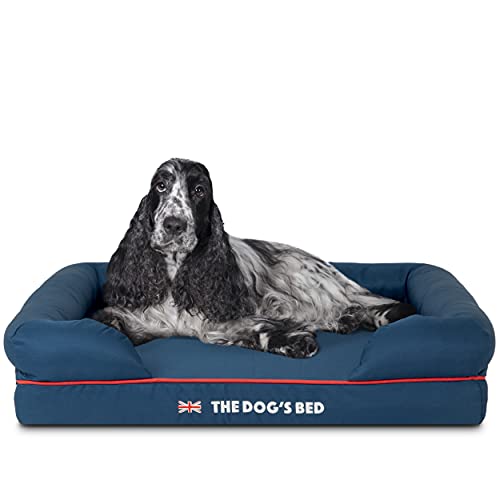 The Dog's Bed Orthopädisches Hundebett, Premium-Memory-Schaum, S-XXL, wasserdicht, Schmerzlinderung bei Arthritis, Hüft- und Ellenbogendysplasie, nach Operationen, beruhigendes Bett, waschbarer Bezug von The Dog's Balls