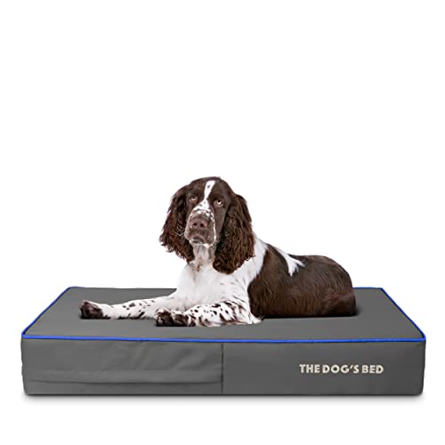 The Dog's Bed Orthopädisches Hundebett, groß, Grau mit dunkelblauem Rand, wasserdichtes Memory-Schaumstoff-Hundebett von The Dog's Balls