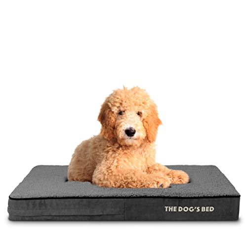 The Dog's Bed Orthopädisches Hundebett, großes graues Plüsch, 101 x 64 x 10 cm, wasserdicht, Memory Foam Hundebett von The Dog's Balls