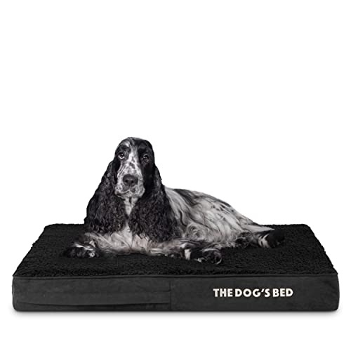 The Dog's Bed Orthopädisches Hundebett, mittelgroß, Plüsch, 86 x 56 x 10 cm, wasserdicht, Memory-Schaum The Dog's Bed Orthopädisches Hundebett, mittelgroß, Plüsch, 86 x 56 x 10 cm, wasserdicht, Memory-Schaum von The Dog's Balls