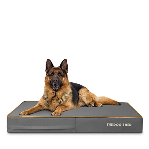 The Dog's Bed Orthopädisches Hundebett XL Grau mit gelbem Rand, Hundebett aus Memoryschaum von The Dog's Balls