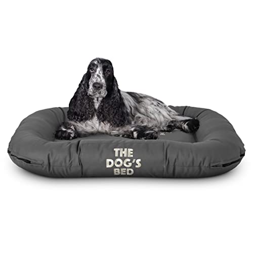 The Dog's Bed Premium wasserdichtes Hundebett, Größe M, 80 x 60 cm, robuster YKK-Reißverschluss, waschbarer strapazierfähiger Bezug von The Dog's Balls