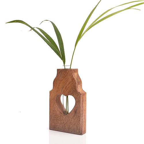 Pflanzenanzuchtstation aus Holz mit einzelnem Reagenzglas für den Innenbereich, Desktop-Terrarium für Hydrokultur, Wasserpflanzen, Schneiden, Blumenvase, Pflanzgefäß, Zuhause, Büro, Garten, von The Great Indian Bazaar