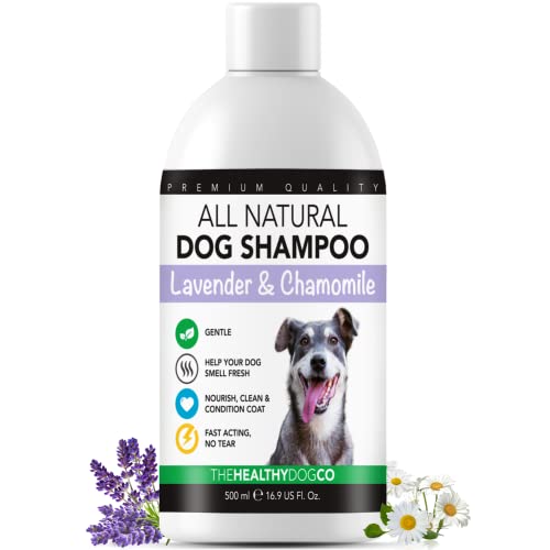 The Healthy Dog Co All-Natural Dog Shampoo & Conditioner, Safe & Gentle Puppy Shampoo, Chamomile & Lavender Dog Shampoo for Smelly Dogs, Nourishing Dog Shampoo for Sensitive Skin - 500ml von The Healthy Dog Co