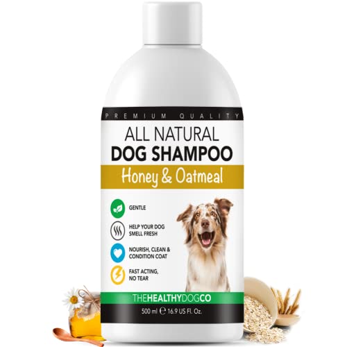 The Healthy Dog Co All-Natural Dog Shampoo & Conditioner, Safe & Gentle Puppy Shampoo, Honey & Oatmeal Dog Shampoo for Smelly Dogs, Nourishing Dog Shampoo for Sensitive Skin - 500ml (Honey & Oatmeal) von The Healthy Dog Co