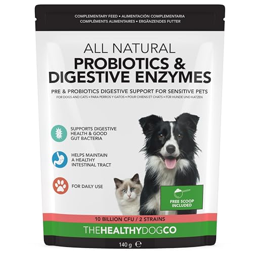 The Healthy Dog Co - Probiotika Hund - Natürliche Darmflora Hund Probiotika - verbessern die Verdauung und helfen Hund Darmflora aufzubauen - Wasser hinzufügen Probiotika für Hunde und Katze - 140g von The Healthy Dog Co