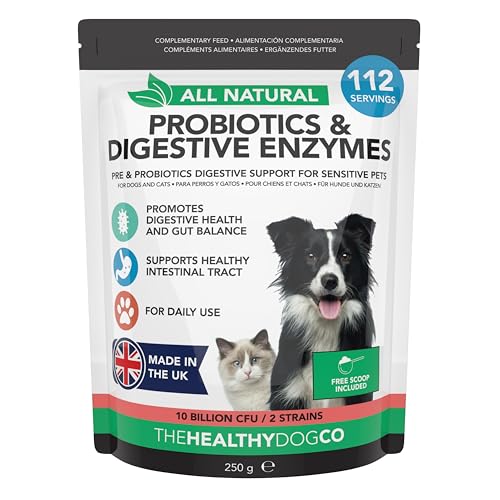 The Healthy Dog Co - Probiotika Hund - Natürliche Darmflora Hund Probiotika - verbessern die Verdauung und helfen Hund Darmflora aufzubauen - Wasser hinzufügen Probiotika für Hunde und Katze - 140g von The Healthy Dog Co