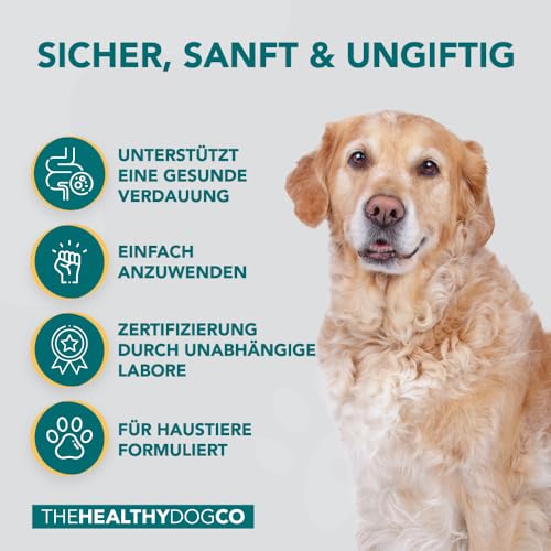 The Healthy Dog Co - Probiotika Hund - Natürliche Darmflora Hund Probiotika - verbessern die Verdauung und helfen Hund Darmflora aufzubauen - Wasser hinzufügen Probiotika für Hunde und Katze - 140g von The Healthy Dog Co