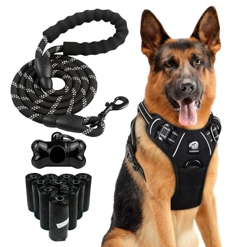 THE PAW FILE Hundegeschirr, kein Ziehen, reflektierende Leine, gepolsterter Griff, 150 Kotbeutel, Knochenförmiger Spender für große Hunde, strapazierfähig, verstellbar, Oxford-Halsband, Schwarz, Set L THE PAW FILE Hundegeschirr, kein Ziehen, reflektierende Leine, gepolsterter Griff, 150 Kotbeutel, Knochenförmiger Spender für große Hunde, strapazierfähig, verstellbar, Oxford-Halsband, Schwarz, Set L von The Paw FIle
