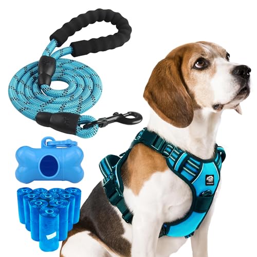 THE PAW FILE Hundegeschirr, kein Ziehen, reflektierende Leine, gepolsterter Griff, 150 Kotbeutel, Knochenförmiger Spender für große Hunde, strapazierfähig, verstellbar, Oxford-Sicheres Halsband, Blau, THE PAW FILE Hundegeschirr, kein Ziehen, reflektierende Leine, gepolsterter Griff, 150 Kotbeutel, Knochenförmiger Spender für große Hunde, strapazierfähig, verstellbar, Oxford-Sicheres Halsband, Blau, von The Paw FIle