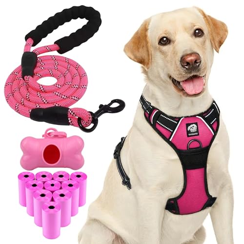 THE PAW FILE Hundegeschirr, kein Ziehen, reflektierende Leine, gepolsterter Griff, 150 Kotbeutel, Knochenförmiger Spender für kleine Hunde, strapazierfähig, verstellbar, Oxford-Sicheres Halsband, THE PAW FILE Hundegeschirr, kein Ziehen, reflektierende Leine, gepolsterter Griff, 150 Kotbeutel, Knochenförmiger Spender für kleine Hunde, strapazierfähig, verstellbar, Oxford-Sicheres Halsband, von The Paw FIle