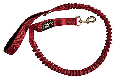 The Petcare Factory Elastische Hundeleine mit doppeltem Griff, stoßfest, elastisch (rot) von The Petcare Factory
