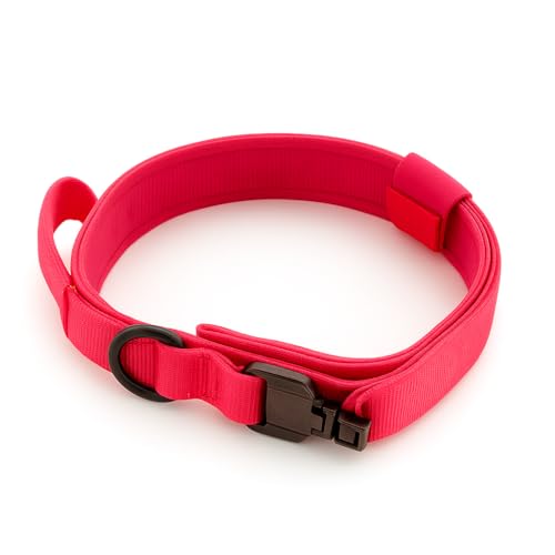 Strapazierfähiges taktisches Hundehalsband - Verstellbares Trainingshalsband mit Metallschnalle für große Hunde - Langlebig, bequem, sichere Passform - The Pup Quartet (Rosa, L) von The Pup Quartet
