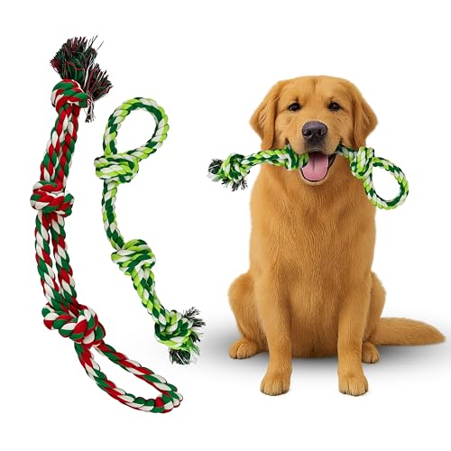 The Pup Quartet Seilspielzeug für Hunde, robustes Kauspielzeug für große Hunde, 2er-Pack, langlebiges Tauziehspielzeug, 100 % Baumwolle, sicher und waschbar, ideal für die Zahnreinigung, (grün/weiß The Pup Quartet Seilspielzeug für Hunde, robustes Kauspielzeug für große Hunde, 2er-Pack, langlebiges Tauziehspielzeug, 100 % Baumwolle, sicher und waschbar, ideal für die Zahnreinigung, (grün/weiß von The Pup Quartet