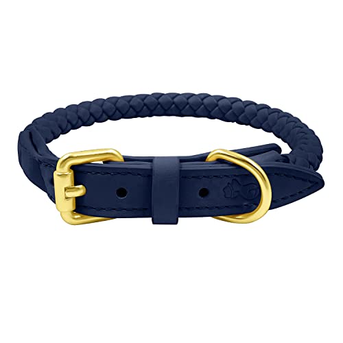 Bailey Haustier-Halsbänder, gelbes und schönes Kunstleder-Halsband (groß, blau) von The Smug Dog