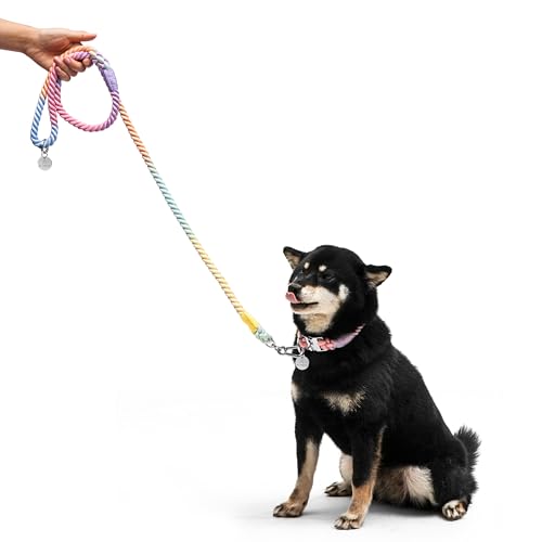 The Smug Dog Bling Halsband und Leine, Größe XL, Macaron mit silberfarbener Schnalle von The Smug Dog