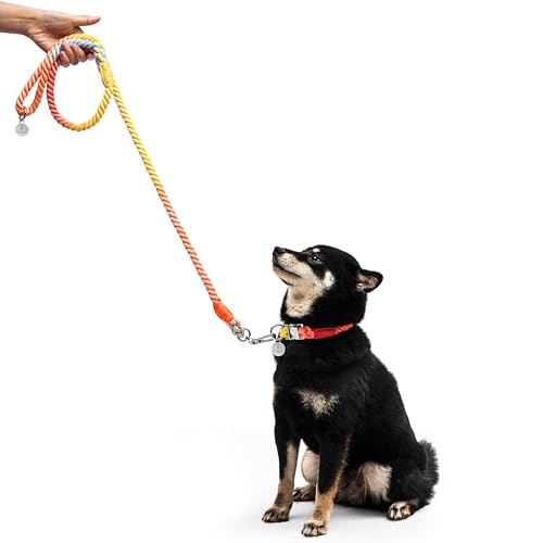 The Smug Dog Bling Halsband und Leine, Größe XL, Regenbogenfarben mit silberfarbener Schnalle von The Smug Dog