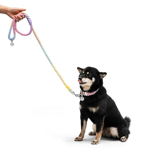 The Smug Dog Bling Halsband und Leine, groß, Macaron mit silberfarbener Schnalle von The Smug Dog