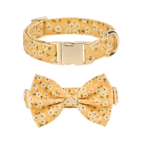 The Wagging Tail Verstellbare Fliege und Hundehalsband für kleine, mittelgroße und große Hunde, Welpenhalsband mit Fliege, niedliche Schleife und Hundehalsbänder – bequem, weich und langlebig (XS, The Wagging Tail Verstellbare Fliege und Hundehalsband für kleine, mittelgroße und große Hunde, Welpenhalsband mit Fliege, niedliche Schleife und Hundehalsbänder – bequem, weich und langlebig (XS, von The Wagging Tail