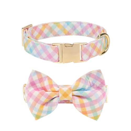 The Wagging Tail Verstellbare Fliege und Hundehalsband für kleine, mittelgroße und große Hunde, Welpenhalsband mit Fliege, niedliche Schleife und Hundehalsbänder – bequem, weich und langlebig (groß, The Wagging Tail Verstellbare Fliege und Hundehalsband für kleine, mittelgroße und große Hunde, Welpenhalsband mit Fliege, niedliche Schleife und Hundehalsbänder – bequem, weich und langlebig (groß, von The Wagging Tail