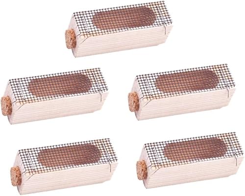 Hölzerne Königin-Käfige montiert, 5 Stück, Bienenkäfige, Bienenkäfig, Imkerei, Imkerei-Werkzeuge, Königin-Schutzkäfig für Königin Aufzucht und Bienenstockspalten Hölzerne Königin-Käfige montiert, 5 Stück, Bienenkäfige, Bienenkäfig, Imkerei, Imkerei-Werkzeuge, Königin-Schutzkäfig für Königin Aufzucht und Bienenstockspalten von Theaque