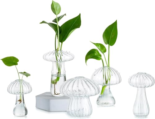 Pilz-Glas-Pflanzgefäß, Set mit 5 farbigen Pflanzen-Anzuchtstationen, Mini-Terrarium für Pflanzen, einzigartige kleine Glasvase für Blumen (transparent) von Theaque