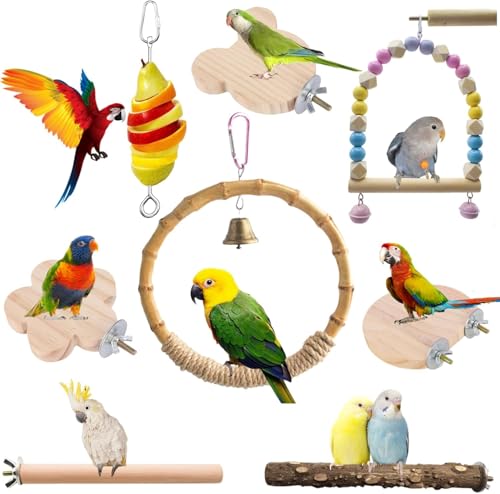 Vogelkäfig-Zubehör, Papageien-Sitzstange, Vogelschaukel, Sittichständer, Plattformen, Vogelfutterstation, Sittiche, Spielzeug für Sittiche, Nymphensittiche, Wellensittiche, Sittiche, Sittiche, Vogelkäfig-Zubehör, Papageien-Sitzstange, Vogelschaukel, Sittichständer, Plattformen, Vogelfutterstation, Sittiche, Spielzeug für Sittiche, Nymphensittiche, Wellensittiche, Sittiche, Sittiche, von Theaque