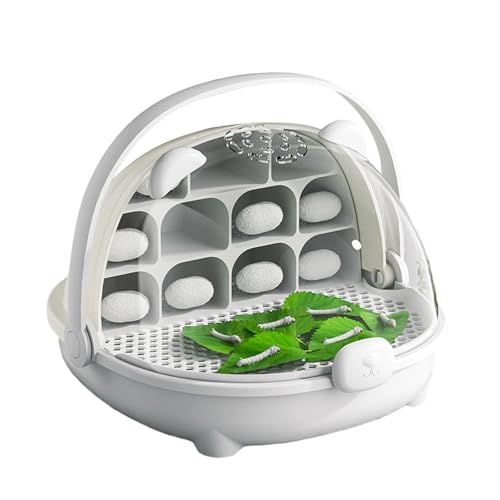 Clear Seidenwürfel Beobachtungsbox Mit Abnehmbarem Kompartiment Und Luftströmen Für Gesundheitsentwicklung Und Wachstum Habitat Box von Thewasc