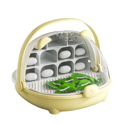 Thewasc Clear Seidenwürfel Beobachtungsbox Mit Abnehmbarem Kompartiment Und Luftströmen Für Gesundheitsentwicklung Und Wachstum Habitat Box von Thewasc