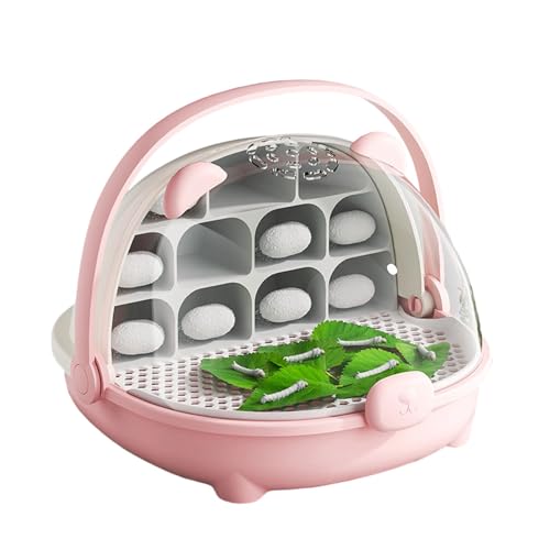 Thewasc Clear Seidenwürfel Beobachtungsbox Mit Abnehmbarem Kompartiment Und Luftströmen Für Gesundheitsentwicklung Und Wachstum Habitat Box von Thewasc