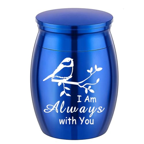 Einfache Schatulle für Asche, Schatulle für Haustiere, zum Schnitzen, kleines Glas, Urnenbehälter, Gedenkstätte von Thewasc