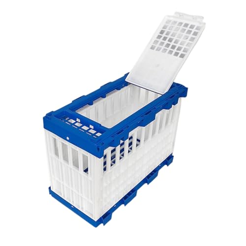Thewasc Faltbare Vogelkäfig Plastikträger Für Rennpaare Baby Papageien Outdoor Übungs Faltable Taubenkäfig Für Rasse Thewasc Faltbare Vogelkäfig Plastikträger Für Rennpaare Baby Papageien Outdoor Übungs Faltable Taubenkäfig Für Rasse von Thewasc