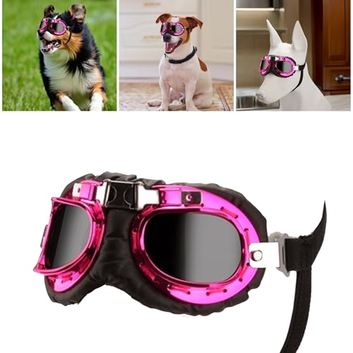 Hundebrillen Augen Schützen Sonnenbrille Windschutz Persönlichkeit Welpen Brillen Für Kleine Und Medienhunde Silber Hundebrillen Augen Schützen Sonnenbrille Windschutz Persönlichkeit Welpen Brillen Für Kleine Und Medienhunde Silber von Thewasc