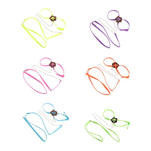 Papageiengeschirr und Leine, für den Außenbereich, zum Fliegen, für kleine Vögel, Graupapageien, Kakadus, Aras, Sittiche, Nymphensittiche von Thewasc