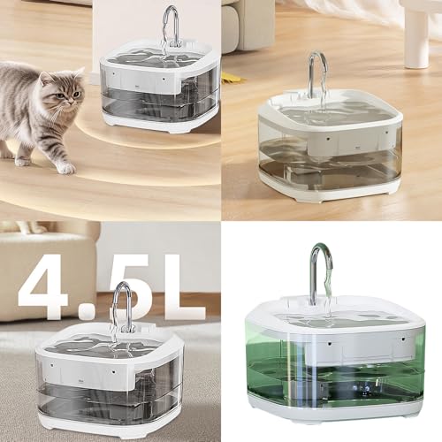 Thewasc Katzen Wasserspender Mit Filtration Edelstahlschüssel Niedriger Rauschpumpenbrunnen Für Automatische Zirkulationen Haustierwässerung Thewasc Katzen Wasserspender Mit Filtration Edelstahlschüssel Niedriger Rauschpumpenbrunnen Für Automatische Zirkulationen Haustierwässerung von Thewasc