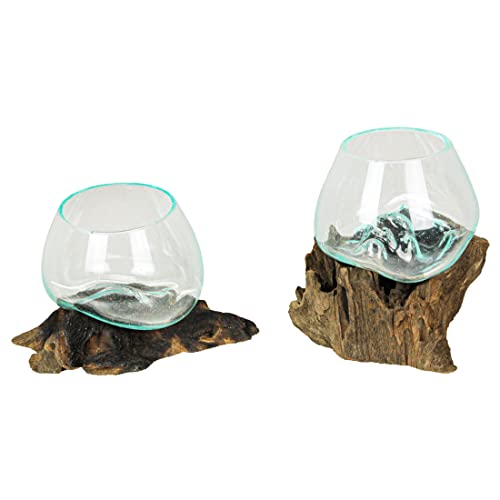 Set mit 2 geblasenem geschmolzenem Glas auf Teak-Treibholz, dekorative Schale/Mini-Terrarium, 15,2 cm hoch von Things2Die4