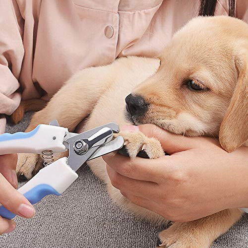 ThinkMax Dog Toe Nail Clippers with File for Small Pet Grooming Cleaning Tool von ThinkMax