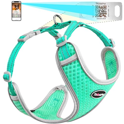 ThinkPet Hundemarke, reflektierend, atmungsaktiv, weiches Air-Mesh mit QR-Code, Erstickungsfrei, für Welpen, kleine, mittelgroße Hunde und Katzen, klein, blaugrün ThinkPet Hundemarke, reflektierend, atmungsaktiv, weiches Air-Mesh mit QR-Code, Erstickungsfrei, für Welpen, kleine, mittelgroße Hunde und Katzen, klein, blaugrün von ThinkPet