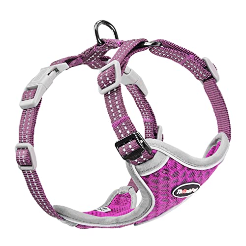 ThinkPet No-Pull Hundegeschirr, Atmungsaktiv Brustgeschirr für Kleine Mittlere Große Hunde, Einstellbar Weich Laufgeschirre Sicher Kontrolle Gepolstert Reflektierendes Sicherheitsgeschirr ThinkPet No-Pull Hundegeschirr, Atmungsaktiv Brustgeschirr für Kleine Mittlere Große Hunde, Einstellbar Weich Laufgeschirre Sicher Kontrolle Gepolstert Reflektierendes Sicherheitsgeschirr von ThinkPet