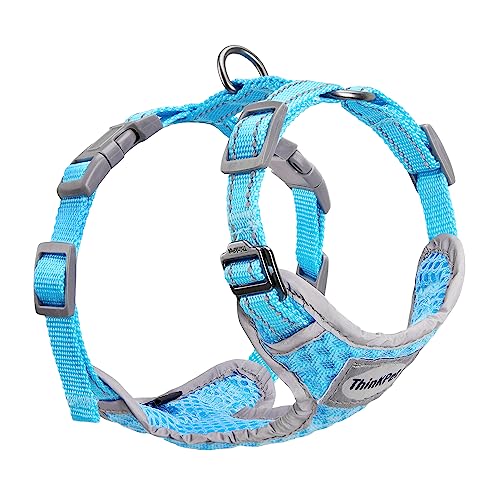 ThinkPet No-Pull Hundegeschirr Leine Set, Atmungsaktiv Brustgeschirr für Kleine Mittlere Große Hunde, Einstellbar Weich Laufgeschirre Sicher Kontrolle Gepolstert Reflektierendes Sicherheitsgeschirr ThinkPet No-Pull Hundegeschirr Leine Set, Atmungsaktiv Brustgeschirr für Kleine Mittlere Große Hunde, Einstellbar Weich Laufgeschirre Sicher Kontrolle Gepolstert Reflektierendes Sicherheitsgeschirr von ThinkPet