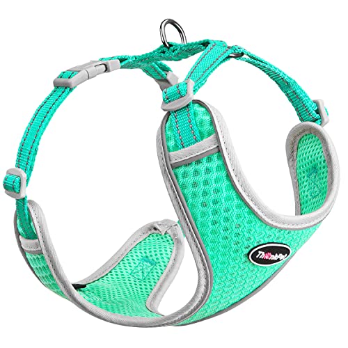 ThinkPet No-Pull Hundegeschirr Leine Set, Atmungsaktiv Brustgeschirr für Kleine Mittlere Große Hunde, Einstellbar Weich Laufgeschirre Sicher Kontrolle Gepolstert Reflektierendes Sicherheitsgeschirr ThinkPet No-Pull Hundegeschirr Leine Set, Atmungsaktiv Brustgeschirr für Kleine Mittlere Große Hunde, Einstellbar Weich Laufgeschirre Sicher Kontrolle Gepolstert Reflektierendes Sicherheitsgeschirr von ThinkPet