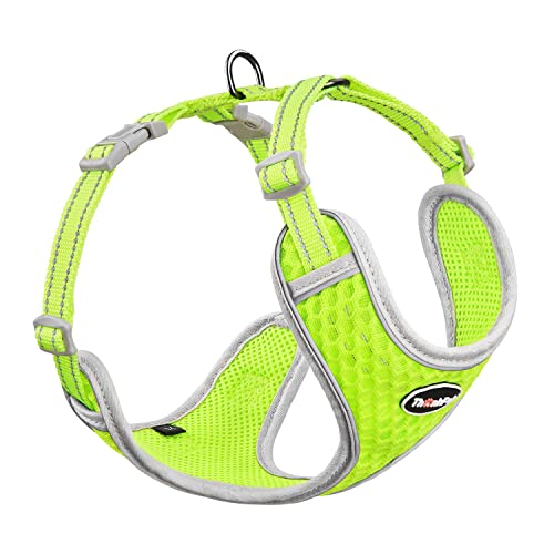 ThinkPet No-Pull Hundegeschirr Leine Set, Atmungsaktiv Brustgeschirr für Kleine Mittlere Große Hunde, Einstellbar Weich Laufgeschirre Sicher Kontrolle Gepolstert Reflektierendes Sicherheitsgeschirr ThinkPet No-Pull Hundegeschirr Leine Set, Atmungsaktiv Brustgeschirr für Kleine Mittlere Große Hunde, Einstellbar Weich Laufgeschirre Sicher Kontrolle Gepolstert Reflektierendes Sicherheitsgeschirr von ThinkPet