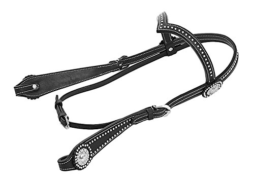 Thor Equine Kopfstück Allan Westerntrense mit Concha und Dots, V-Shaped, Schwarz Cob Thor Equine Kopfstück Allan Westerntrense mit Concha und Dots, V-Shaped, Schwarz Cob von Thor Equine