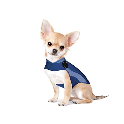 Thundershirt Polo - Beruhigungsweste für Hunde von Thundershirt