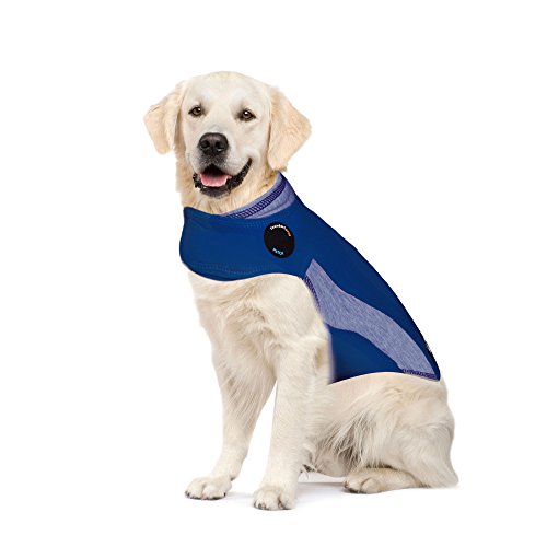 Thundershirt Polo - Beruhigungsweste für Hunde von Thundershirt