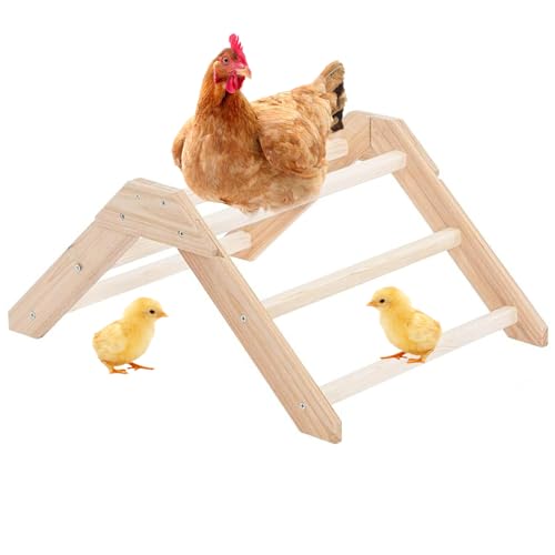 Tiajingzi Brutstätte Für Küken - Trainingsstand Aus Holz Für Küken | Multifunktionaler Ständer Für Kleintierkäfig Geflügel Hamster Tiajingzi Brutstätte Für Küken - Trainingsstand Aus Holz Für Küken | Multifunktionaler Ständer Für Kleintierkäfig Geflügel Hamster von Tiajingzi