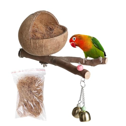 Tiajingzi Natürliches Kokosnuss-Vogelnest, Hamster-Kokosnuss-Hängematte, Vogel-Kokosnuss-Hütte, Hängematten-Vogelkäfignest, Hängende Vogelnesthöhlen Kokos Gehäuse Vogel Nest mit Zweigen für Reptilien Tiajingzi Natürliches Kokosnuss-Vogelnest, Hamster-Kokosnuss-Hängematte, Vogel-Kokosnuss-Hütte, Hängematten-Vogelkäfignest, Hängende Vogelnesthöhlen Kokos Gehäuse Vogel Nest mit Zweigen für Reptilien von Tiajingzi