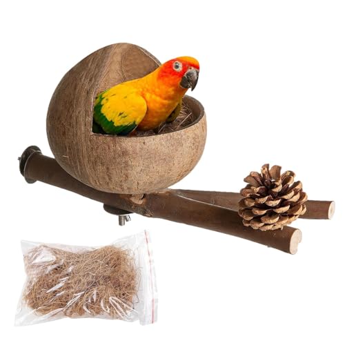 Tiajingzi Natürliches Kokosnuss-Vogelnest, Hamster-Kokosnuss-Hängematte, Vogel-Kokosnuss-Hütte, Hängematten-Vogelkäfignest, Hängende Vogelnesthöhlen Kokos Gehäuse Vogel Nest mit Zweigen für Reptilien Tiajingzi Natürliches Kokosnuss-Vogelnest, Hamster-Kokosnuss-Hängematte, Vogel-Kokosnuss-Hütte, Hängematten-Vogelkäfignest, Hängende Vogelnesthöhlen Kokos Gehäuse Vogel Nest mit Zweigen für Reptilien von Tiajingzi